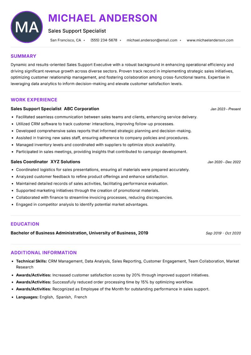 Sales Support Executive resume example