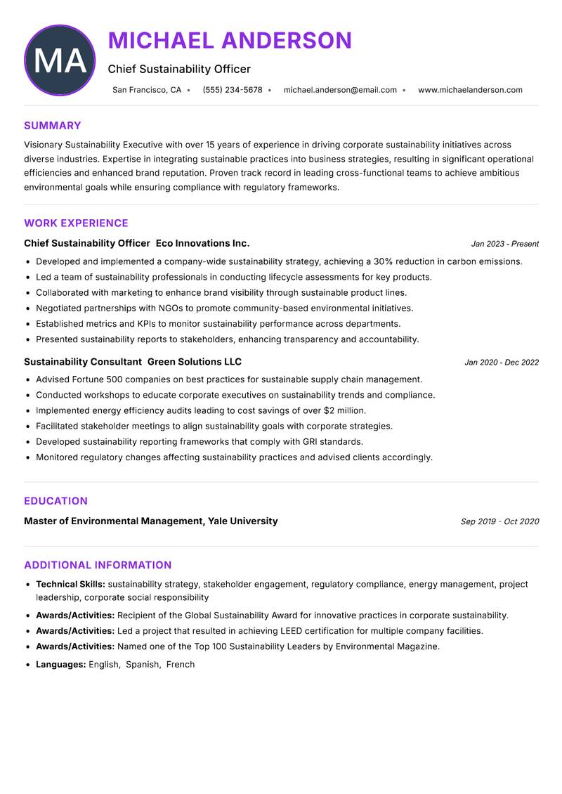 Sustainability Executive resume example