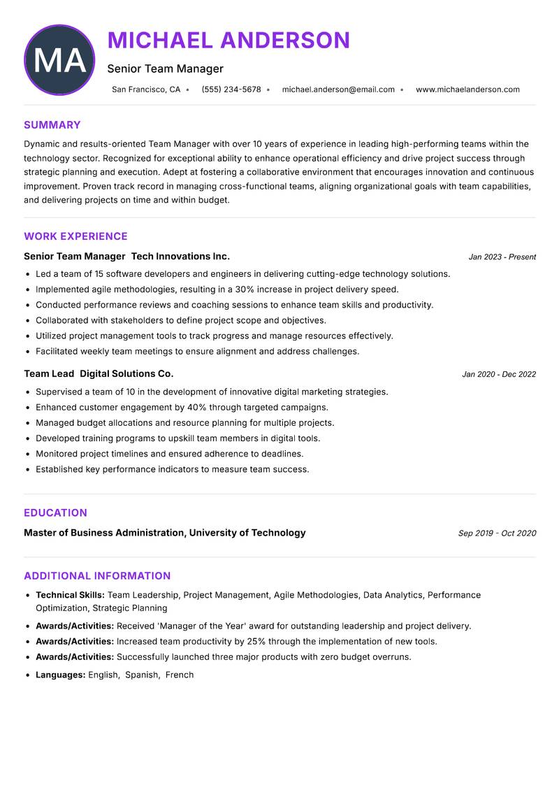 Team Manager resume example