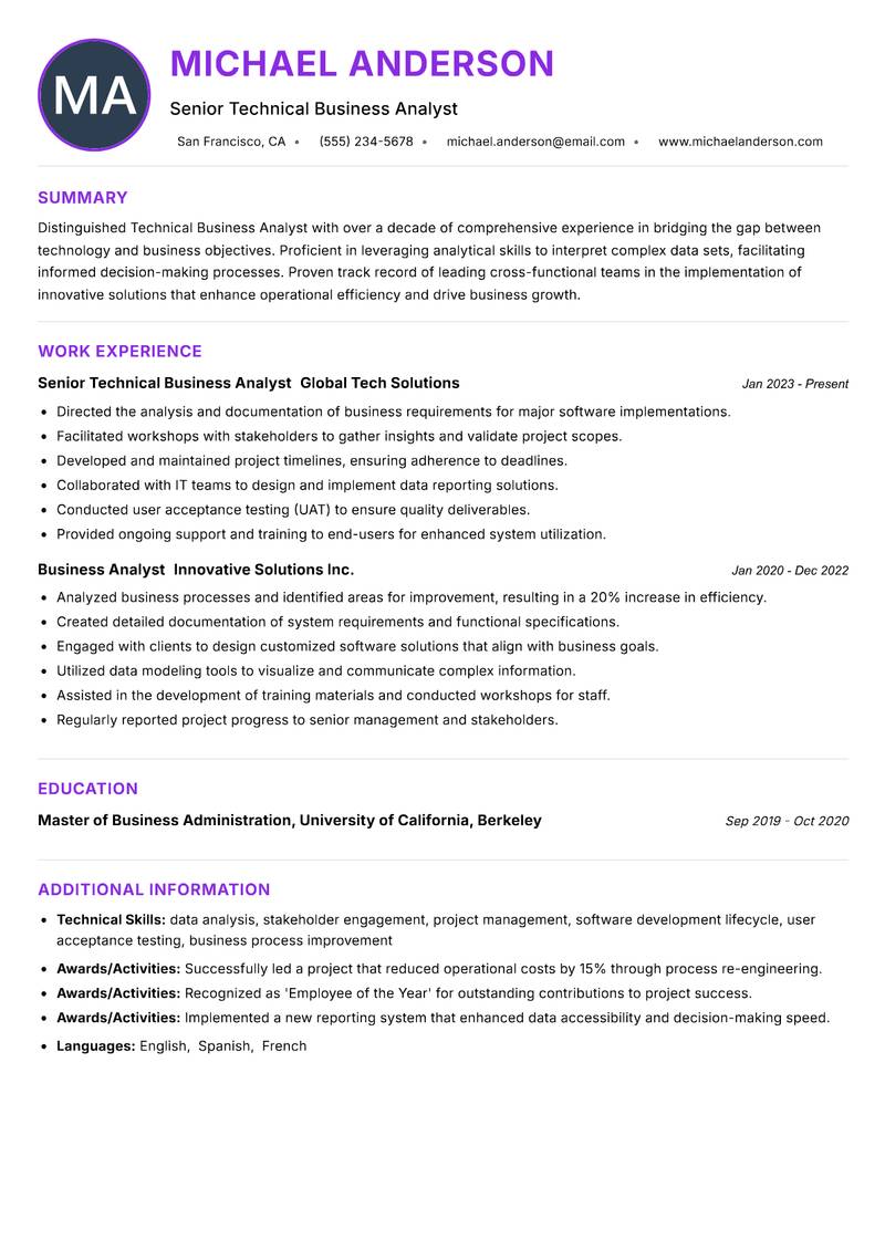 Technical Business Analyst resume example