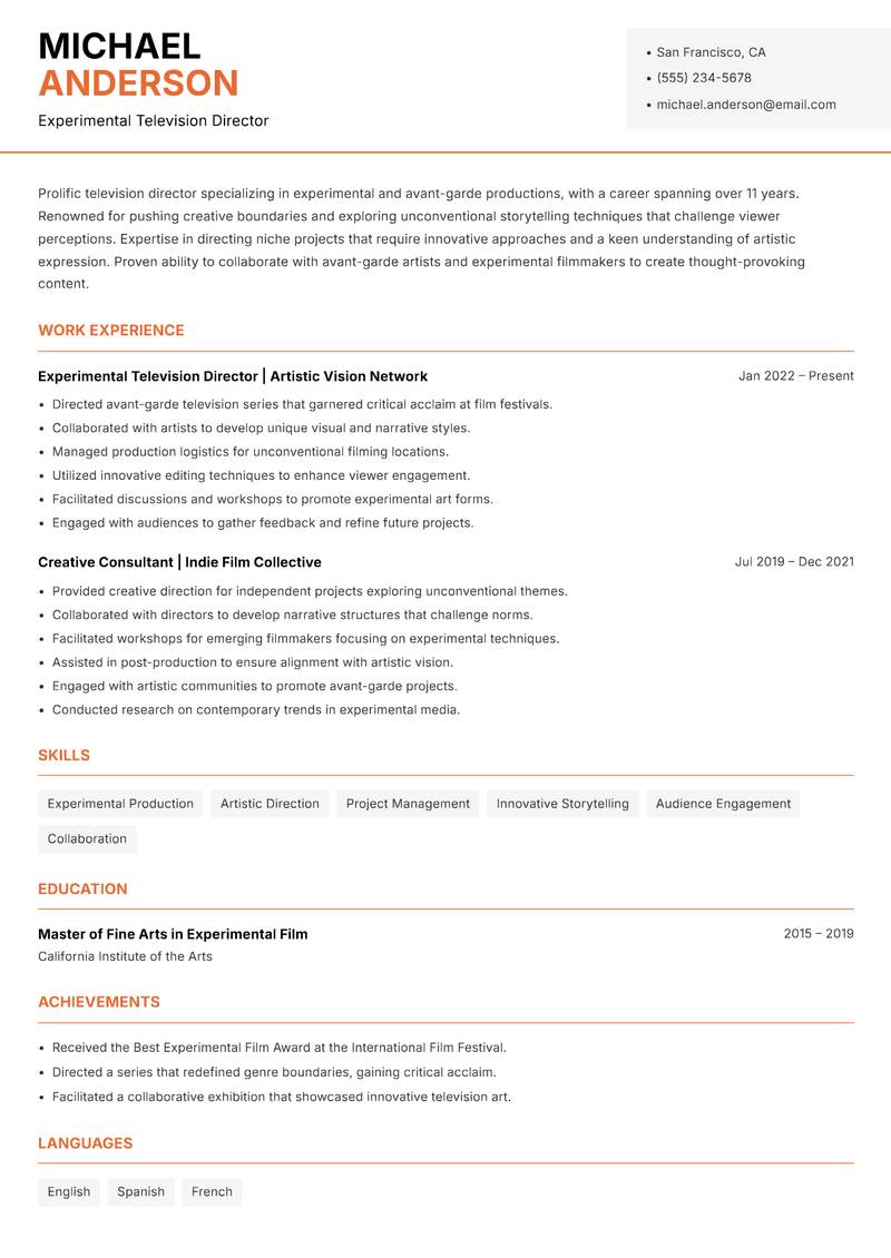 Television Director resume sample — Experimental Television Director focus