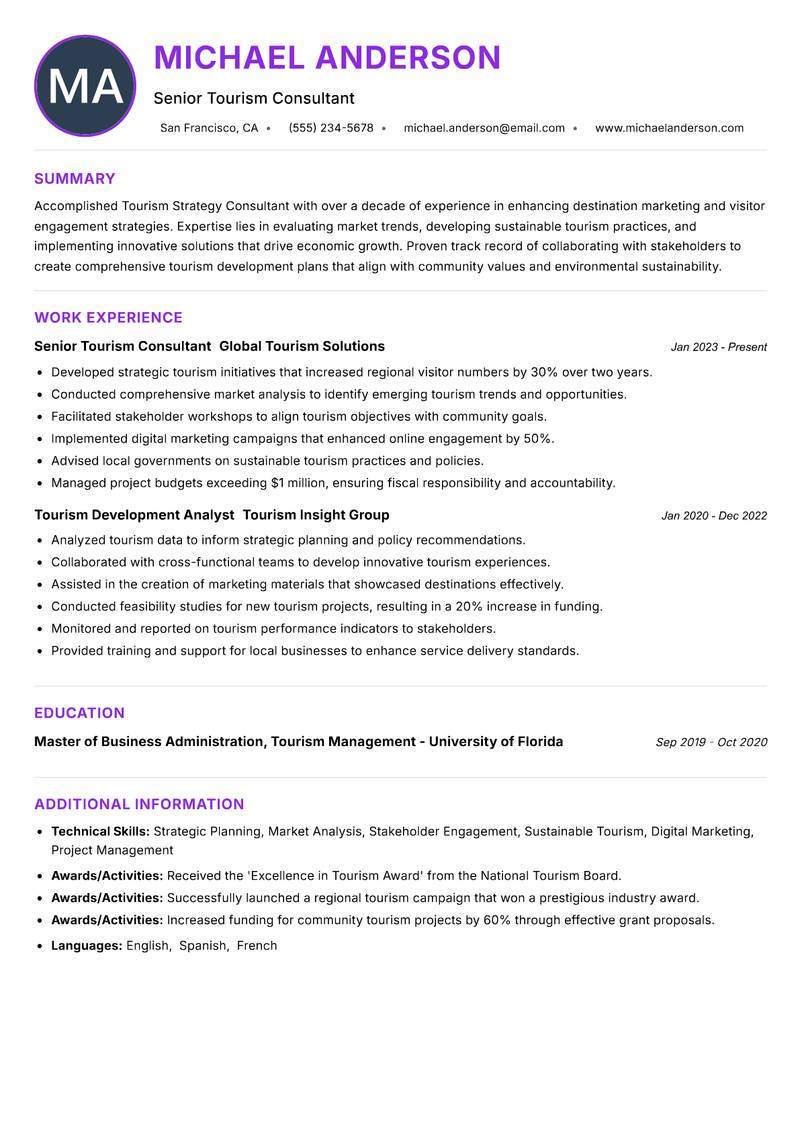 Tourism Strategy Consultant resume example