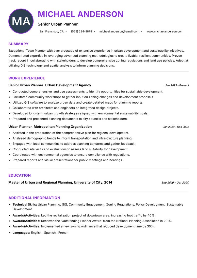 Town Planner resume example