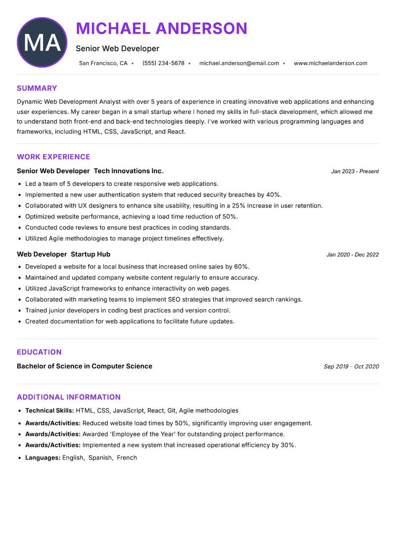 Web Development Analyst resume example